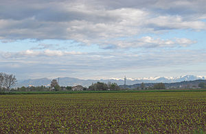 メードレの風景