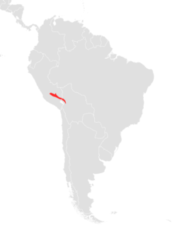 Distribución de Carollia manu