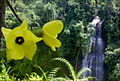 Cimandaway waterfall at district Dayeuhluhur, at Cikawalon River West Cilacap.[7]