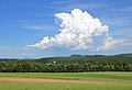 Cumulus mediocris cloud