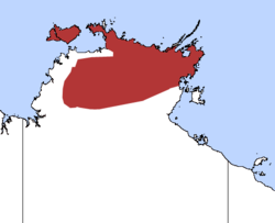 Mapa de distribución de Antechinus bellus