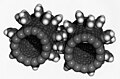 Image 8Computer simulation of nanogears made of fullerene molecules. It is hoped that advances in nanoscience will lead to machines working on the molecular scale. (from Condensed matter physics)