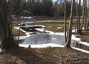 Meanderbäck vid Fullersta kvarn