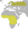 Aire de répartition de la Bécassine double