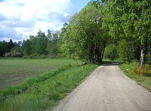 Landsvägen mot Södertälje vid Bergaholms gravfält