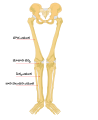 తెలుగు