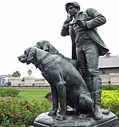 Huntsman and dogs, Botanic Gardens, Sydney