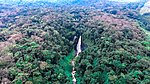 Aerial view at a tropical forest