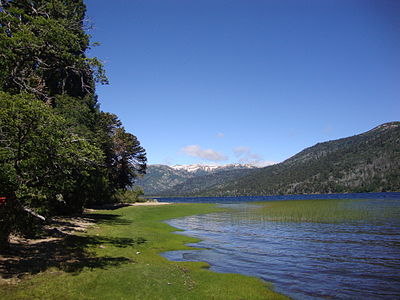 Vue du lac Rucachoroi. Entouré de bois d'araucarias et de lengas, et assez éloigné des circuits touristiques, il est un des plus beaux lacs du parc.