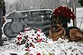 Lex at Lee's grave