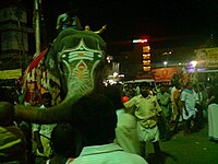 Elephant procession