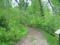 Mason Neck State Park - pathway