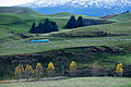 Image 18Rural landscape close to Mt Ruapehu (from Geography of New Zealand)