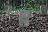 Newton Homesite and Cemetery