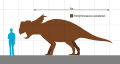 Pachyrhinosaurus