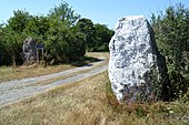 Menhirs du Moulin de Violette