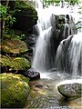 La cascade Rainbow, dans le Dismals Canyon, en Alabama.