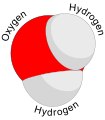 Image 5A water molecule consists of two hydrogen atoms and one oxygen atom. (from Water)