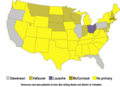 1956 Democratic presidential primaries