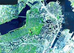 Map of urban tree canopy in Boston. Remote sensing allows collection of data using sources including satellites.