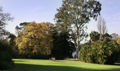 Pradera con el lago al fondo