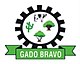 Brasão de armas de Gado Bravo