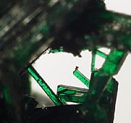 These long slender crystals, from Bisbee, Arizona, have the highly desirable emerald green color and good luster that is sought after in brochantite by collectors. Detail of thumbnail specimen, size 2.3 × 2 × .8 cm.