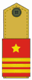 Colonel