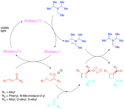 Diagram of Photocatalytic Crossed Enone 2+2 cycloaddition