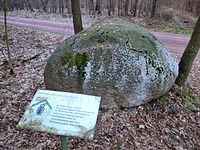 Findling in der Mosigkauer Heide