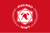 דגל כבאות והצלה לישראל