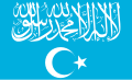 Drapeau du Parti islamique du Turkestan.
