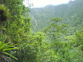 Imagen de la Cascada de San Lucía en la Montaña de Celaque.