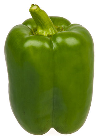 Green bell pepper