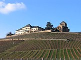 Schloss Johannisberg within its vineyards