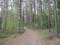 Sentier de randonnée de Luukki.