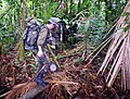 Progression en forêt équatoriale.