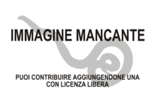 Immagine di Escarpia laminata mancante