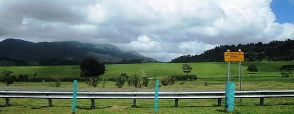 View from PR-31 in Naguabo