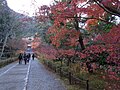 2018年1月25日 (木) 10:16時点における版のサムネイル