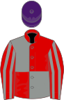 Red and grey quartered, striped sleeves, purple cap