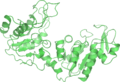 PDB: 3PGK​. Phosphoglycerate kinase. Yeast.