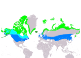 Aire de répartition du Bruant des neiges