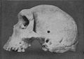 Image 27Skull of Broken Hill Man discovered in present-day Kabwe. (from History of Zambia)