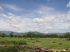 Clima tropical Choluteca