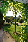 Pergola vid Schloss Charlottenhof