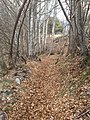 Monte Denai, scorcio del sentiero, che congiunge la località Piazza con il fondo delle Pozze, ripreso nei pressi dei ruderi del "Rocòl de la Comàr"