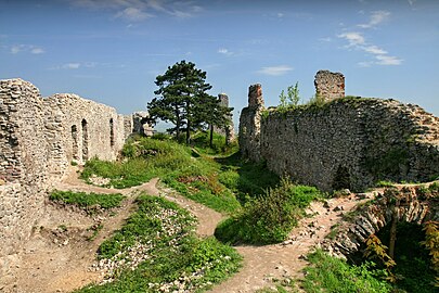 Le château de Starý Jičín.