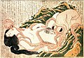 Image 10The Dream of the Fisherman's Wife, an erotic woodcut made circa 1820 by Hokusai.