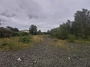 Photograph of a bare site, looking along former rail line; ballast and rough vegetation centrally, trees to right, houses beyond hedge to left.